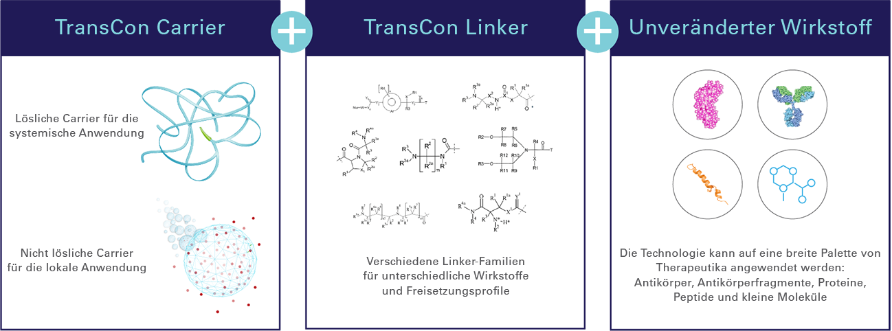 20230807_Technology_Transient_Conjugation_Graphic_v2_DE