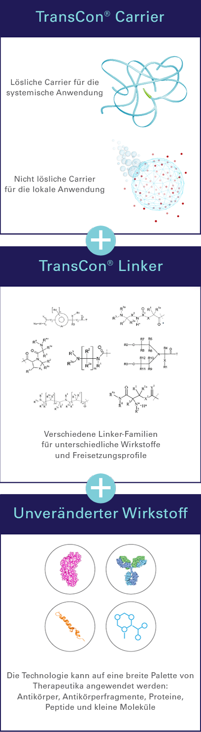 20230824_Technology_Transient_Conjugation_Vertical_Graphic_v1